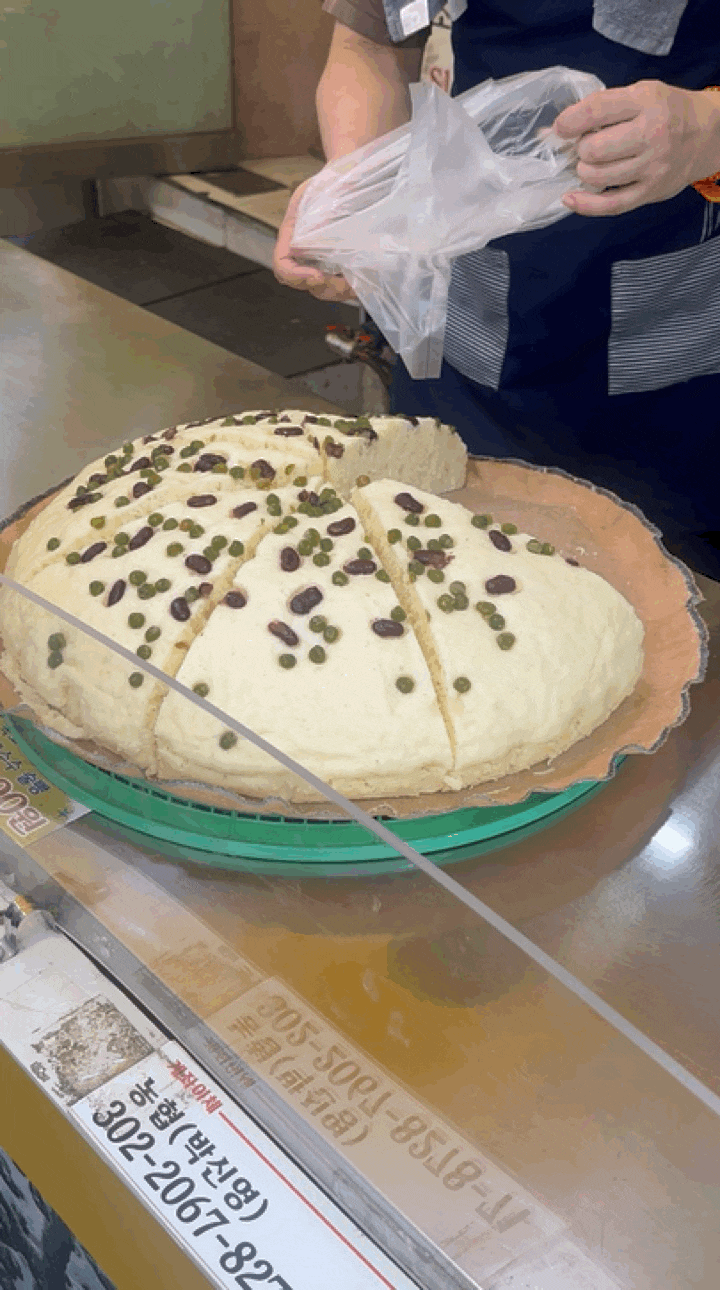 속초중앙시장 | 속초막걸리 술빵술빵 (주차, 웨이팅 꿀팁)