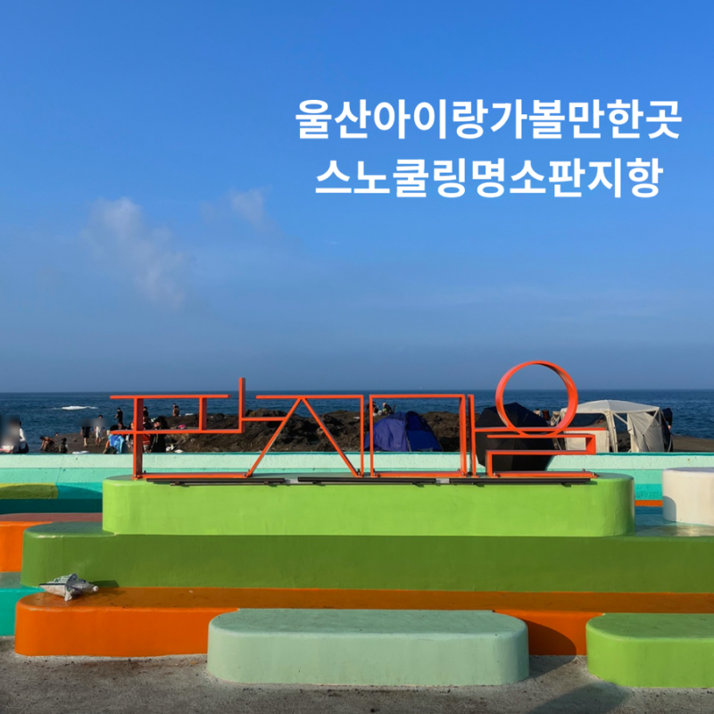 울산 판지항 스노쿨링 아이와 다녀온 명소 솔직 후기
