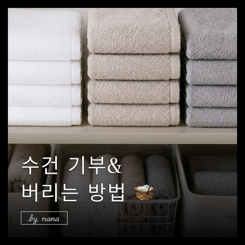 수건버리는법, 유기견 수건기부와 올바른 수건버리는 방법