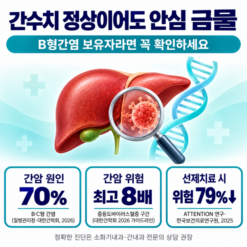 B형간염 간암 위험, 간수치 정상이어도 안심할 수 없는 이유