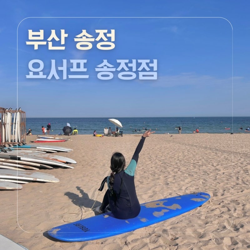 [부산/송정] 4만원에 즐길 수 있었던 첫 서핑수강 후기 : 요서프 송정점