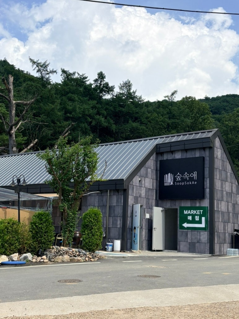 숲속애 사진 4