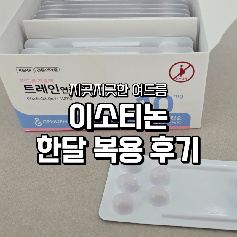 이소티논 한달 복용 후기 주차별 여드름 증상 변화