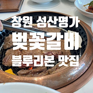 진해한우 성산명가 벚꽃갈비 창원 상견례 회식하기 좋은 곳