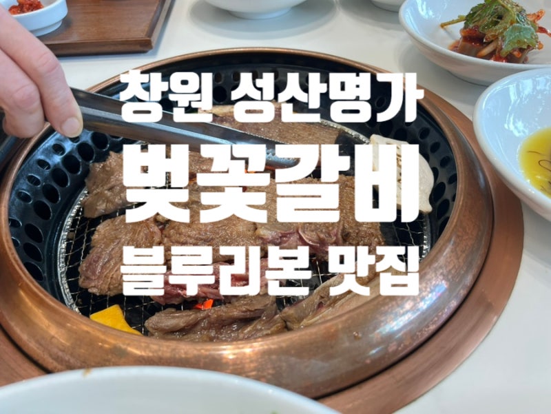 진해한우 성산명가 벚꽃갈비 창원 상견례 회식하기 좋은 곳