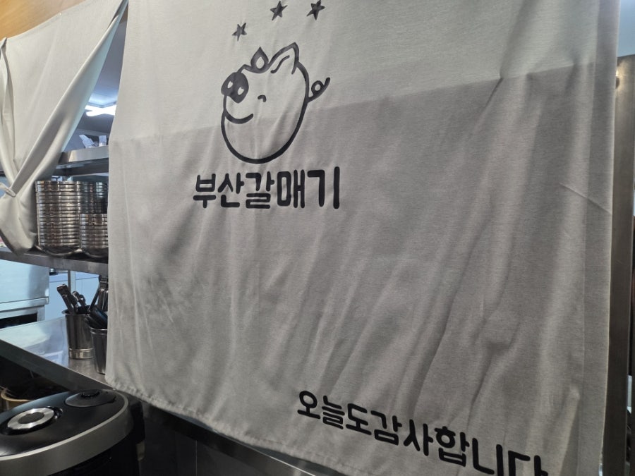 부산갈매기 사진 2