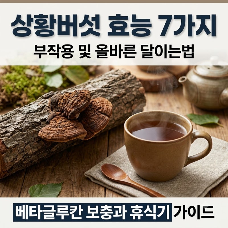 암·면역력에 좋은 상황버섯 효능 진실, 베타글루칸 함량과 부작용 없이 먹는법