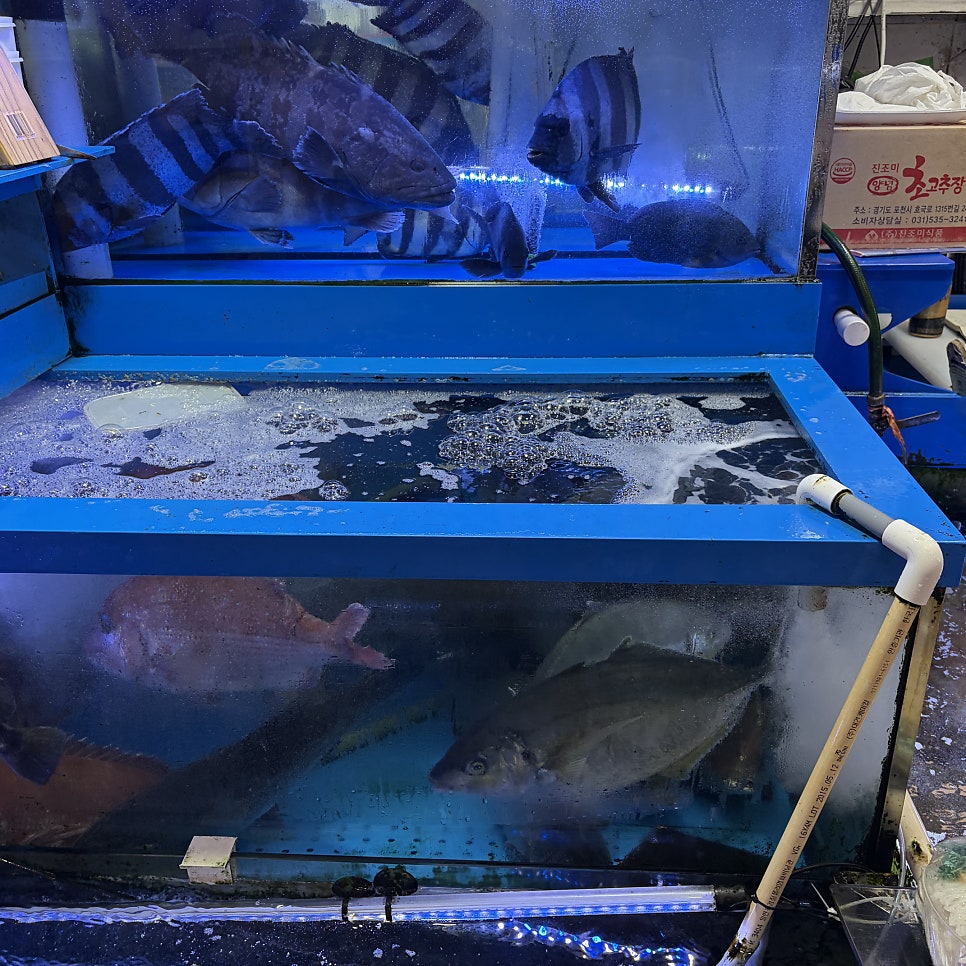 청명수산 사진 6