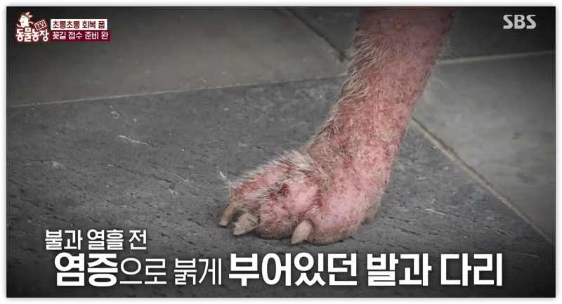 간추린 오후 연예계뉴스픽 2026.0803.월