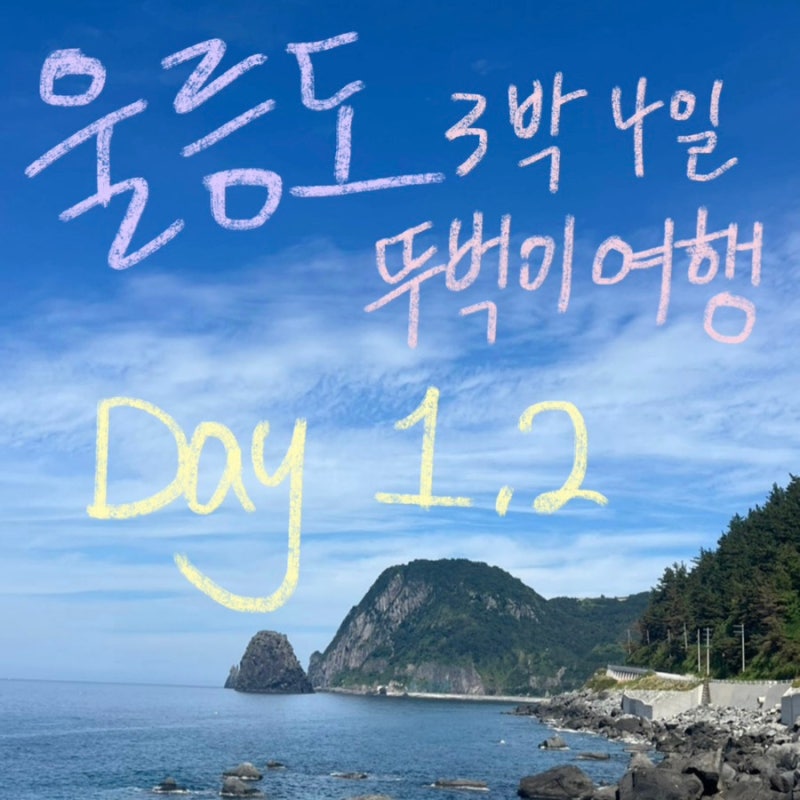 울릉도 3박4일 뚜벅이 여행코스 | 울릉크루즈, 천부해중전망대, 나리분지, 아리랑식당, 스쿠....