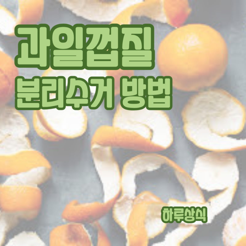과일 껍질 분리수거 방법, 음식물쓰레기일까 일반쓰레기일까?