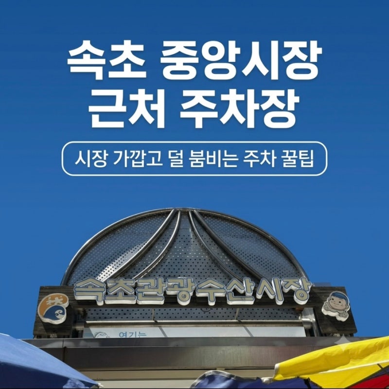 속초중앙시장 가까운 주차장 카카오T주차장 위치 요금 주차꿀팁 (만석닭강정 술빵 가까운 주....