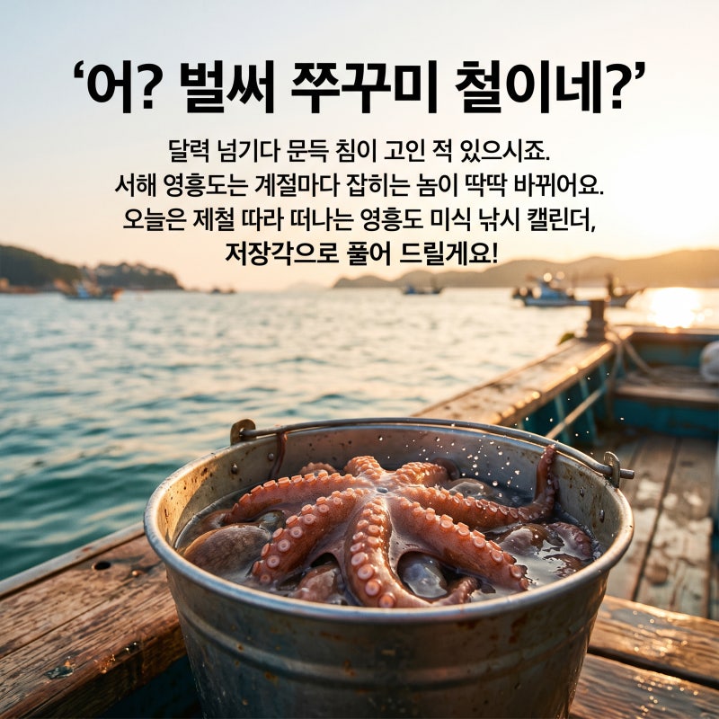 영흥도 제철 낚시 캘린더 9월 쭈꾸미 봄가을 꽃게