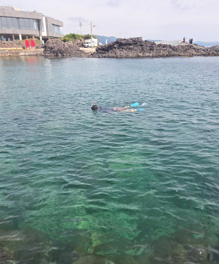 울산 판지항 숙소 펜션 스노쿨링 해루질 준비물부터 주차까지