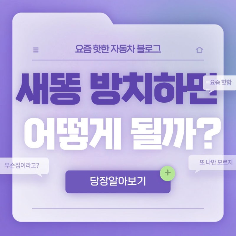 자동차 벌레 자국 새똥 세차 하는 방법
