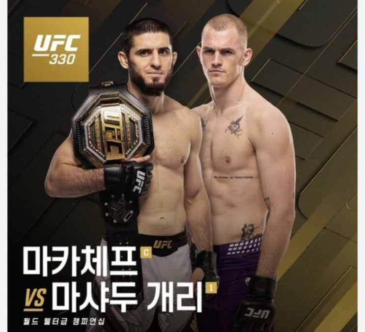 UFC 330 <b>이안개리</b> vs <b>마카체프</b> 예측