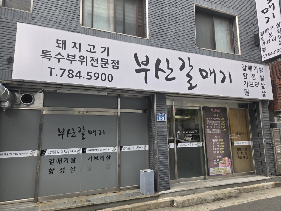 부산갈매기 사진 1