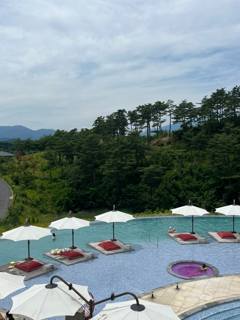 양양 가볼만한 곳, 설해원 당일치기 후기 | 온천수영장, 노천스파, 사우나, 면역공방 양양 힐....