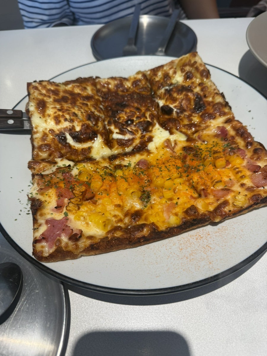 오레가노 사진 6