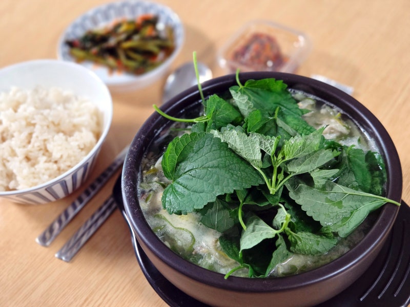 맛집 택배... 창원 조천장어국... 경상도식 맑은 장어탕... 방아잎 듬뿍 올려 먹으면 자취생 기....