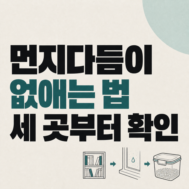 먼지다듬이 없애는 법, 잡아도 자꾸 보인다면 책장·창가·쌀통부터 확인