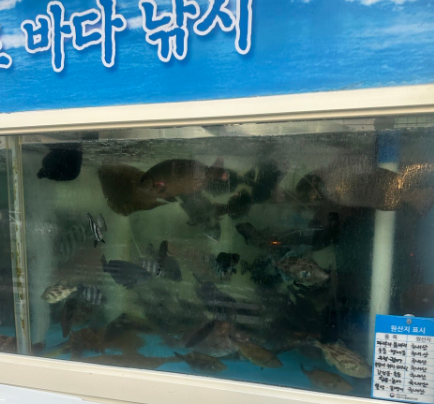 낚시고기횟집 사진 5