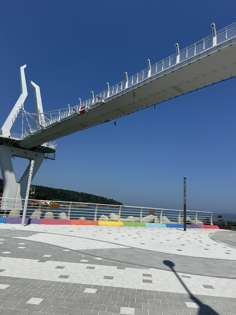 복바다 사진 2