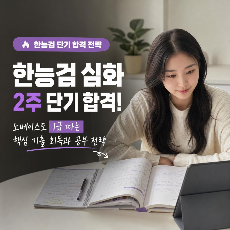 한국사능력검정시험(한능검) 심화 2주 만에 합격하는 독학 공부법! 핵심 기출 풀이와 무료 인....