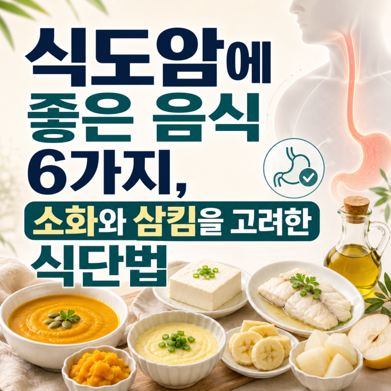 식도암에 좋은 음식 6가지, 소화와 삼킴을 고려한 식단법