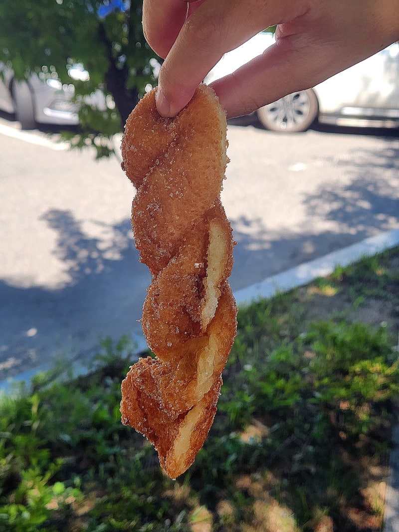속초 코끼리분식 속초중앙시장 꽈배기 맛집 후기