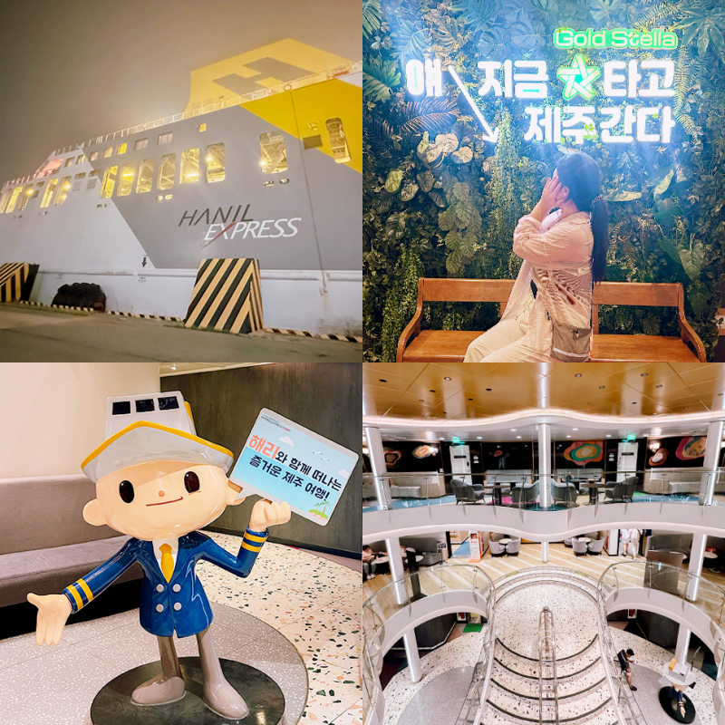 제주여행 완도 제주도 배편 골드스텔라 차량 선적 새벽 탑승 후기