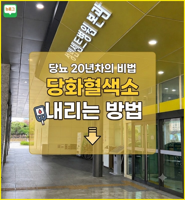 당뇨 20년 차가 쉽게 정리한 당화혈색소 기본 지식 (8%에서 7%대 낮춘 후기)
