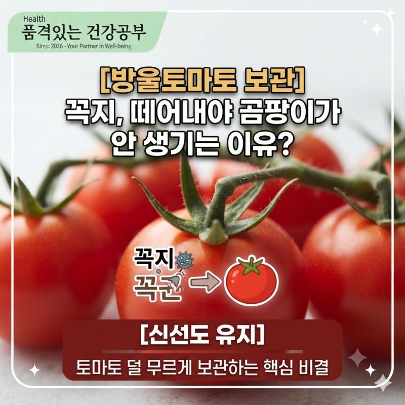 [방울토마토 꼭지 세균 보관 유통기한] 꼭지를 떼어내고 보관해야 토마토가 덜 무르고 곰팡....