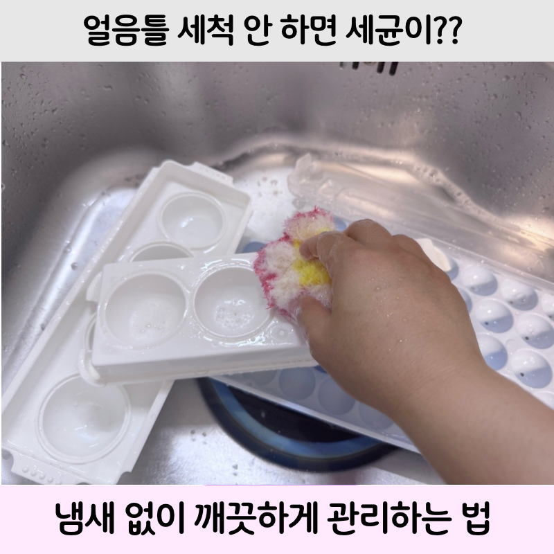 얼음틀 세척법, 냄새 없이 깨끗하게 관리하는 가장 쉬운 방법