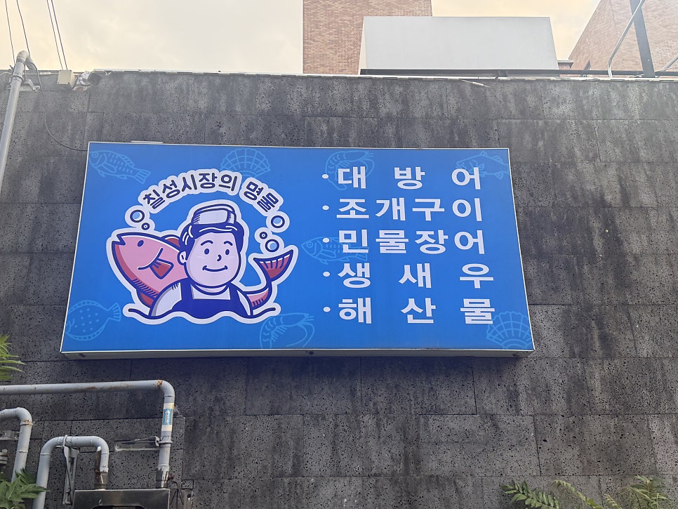 금강장어 사진 3