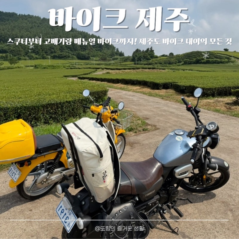 [제주/바이크제주] 스쿠터부터 고배기량 매뉴얼 바이크까지! 제주도 오토바이렌탈 바이크 대....