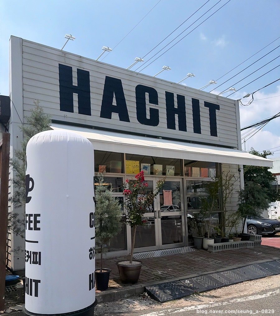 하치트커피 사진 1