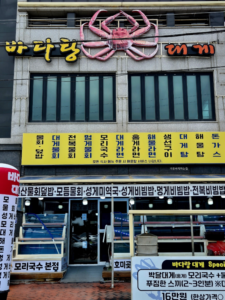 모리 사진 2