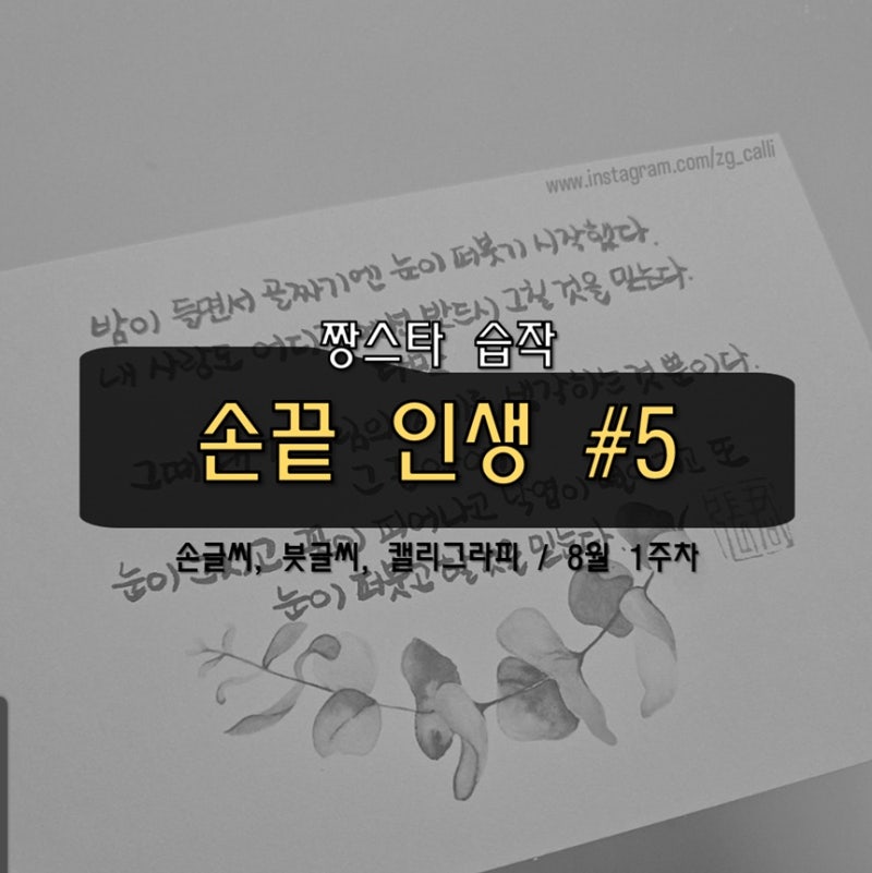 [손끝 인생_#5] 캘리그라피 손글씨 붓글씨 연습 with 쿠레타케 붓펜 22호