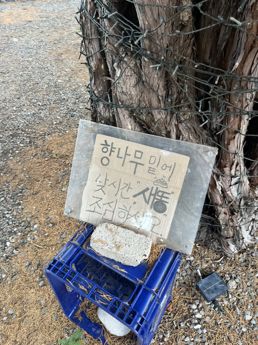 향나무집 사진 2