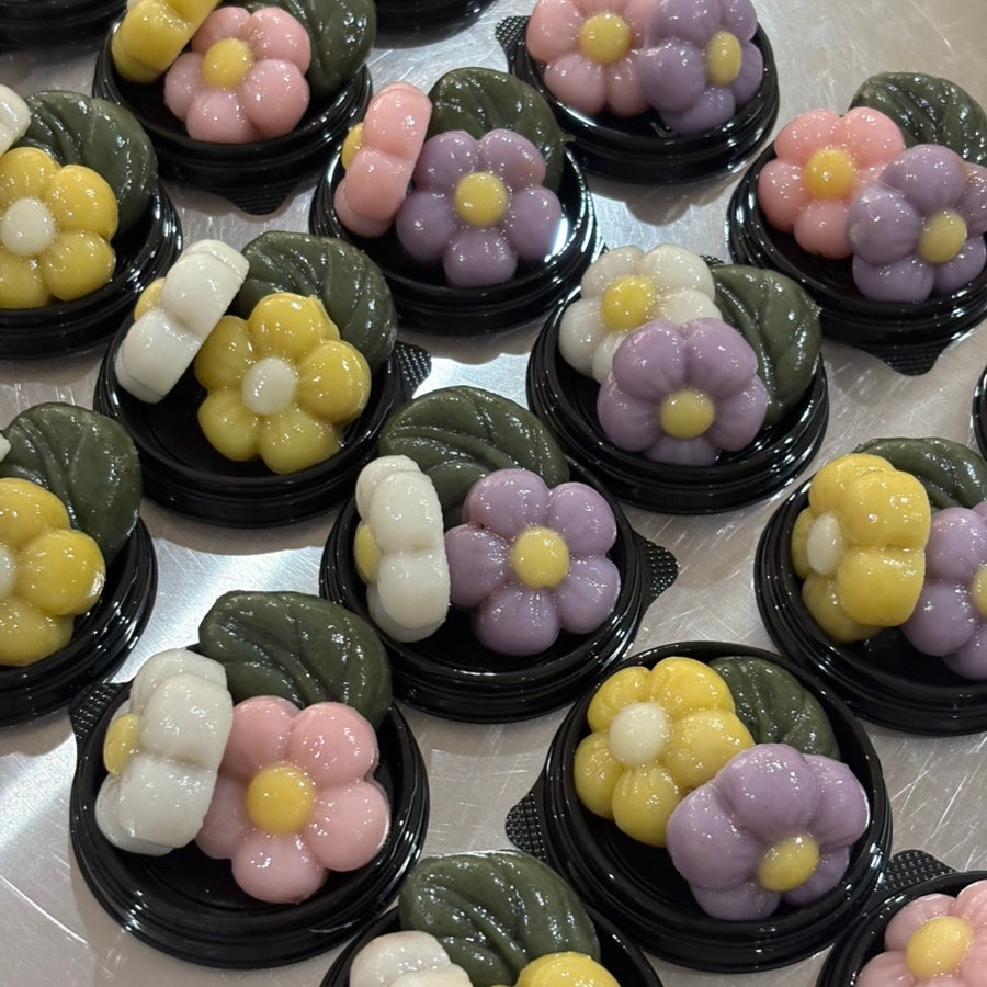 순덕 사진 1
