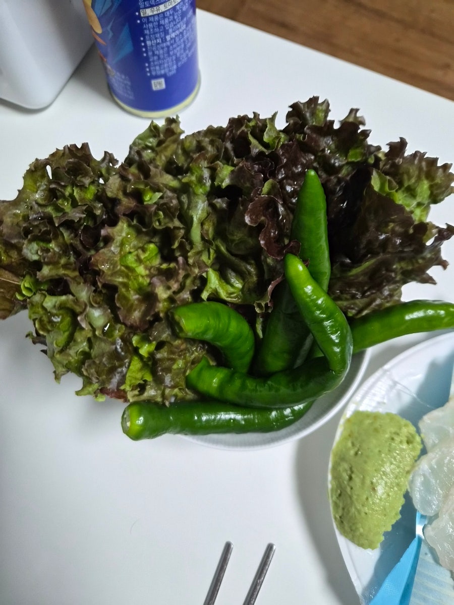 한려수도회타운 사진 4