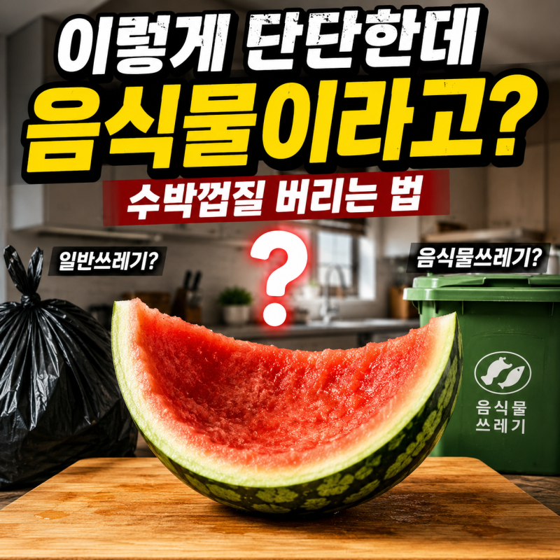 “이렇게 단단한데 음식물이라고?” 수박껍질 버리는 방법은 따로 있었다