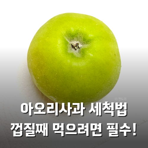 아오리사과 세척법 껍질째 먹을 수 있는 베이킹소다 세척법