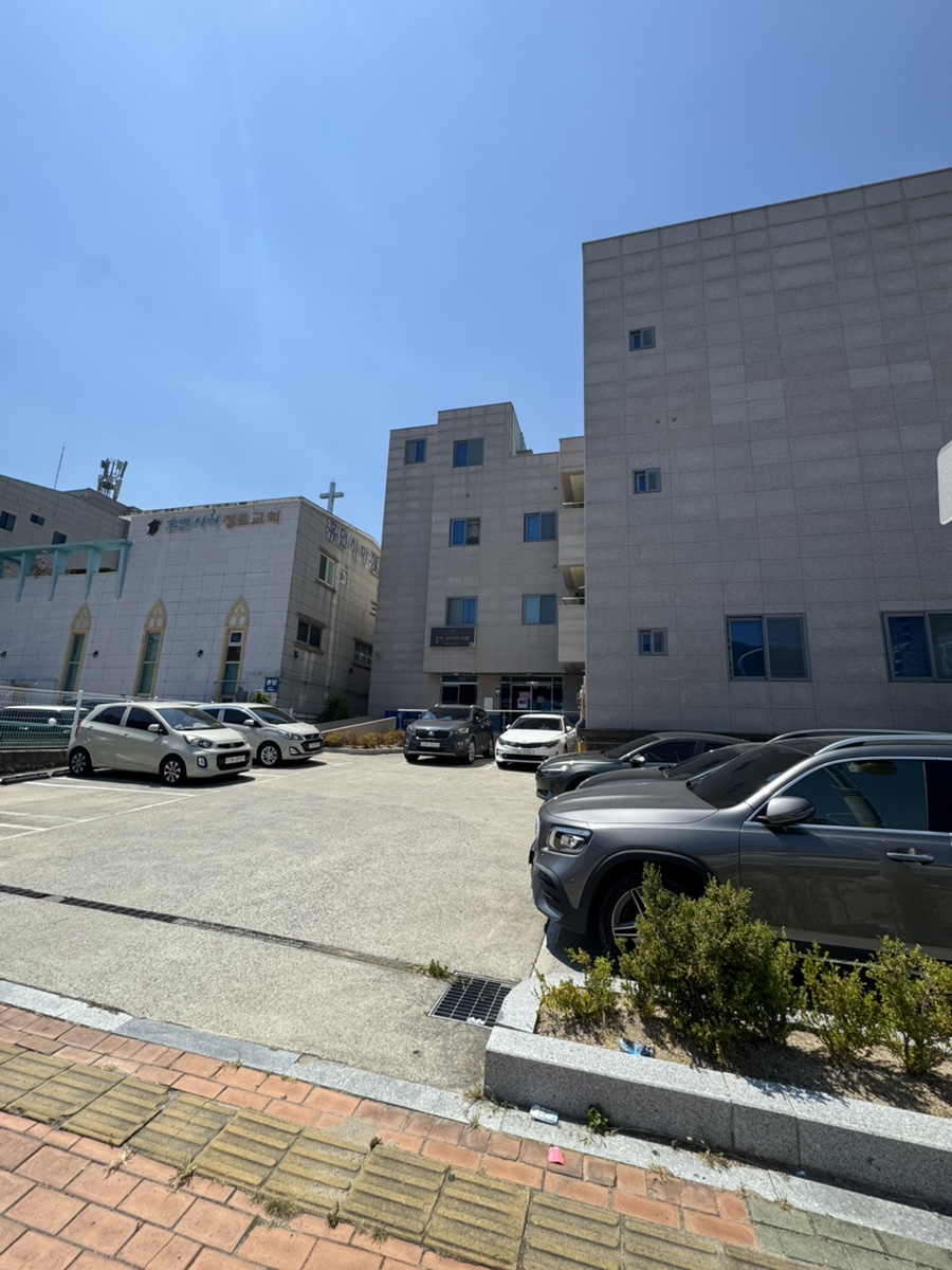 그린네모 사진 6