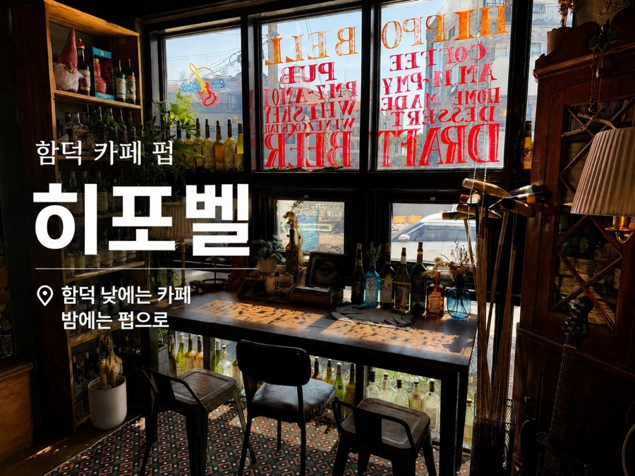 히포벨 사진 1