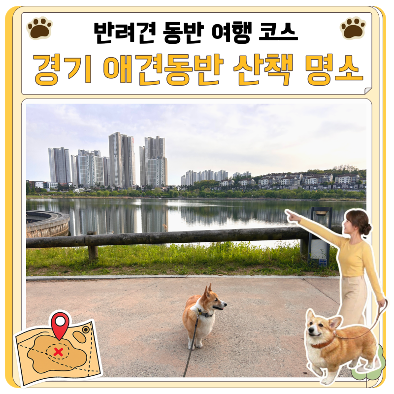 양평 두물머리 포함 경기 애견동반 물가 산책 명소 3곳