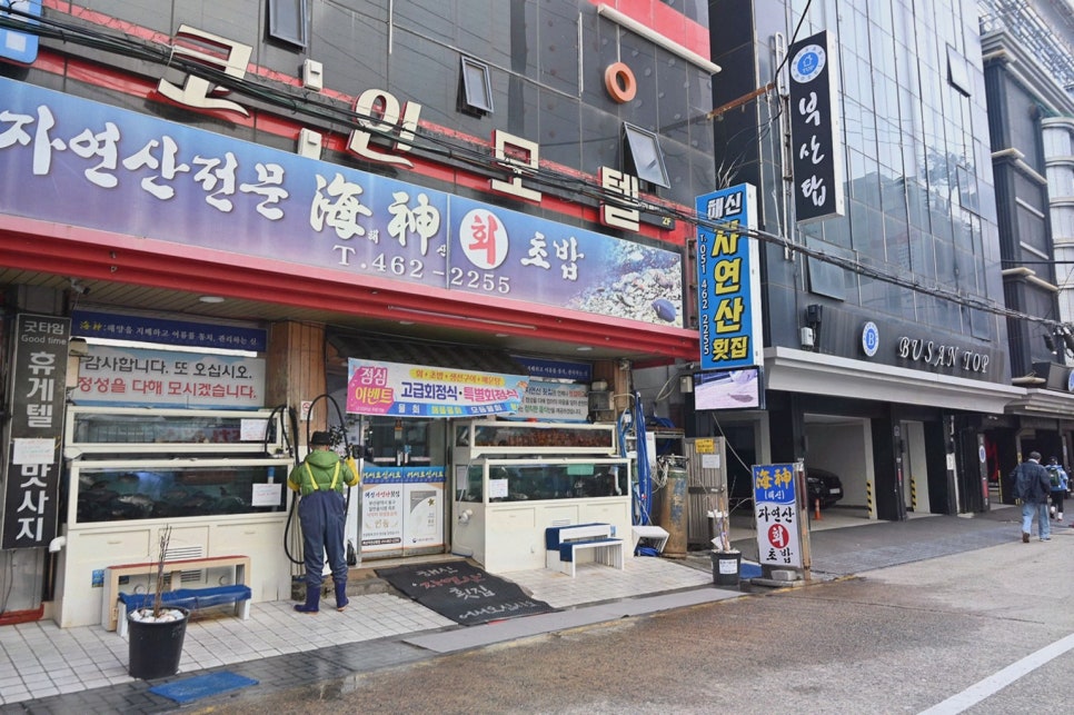 해신자연산횟집 사진 3