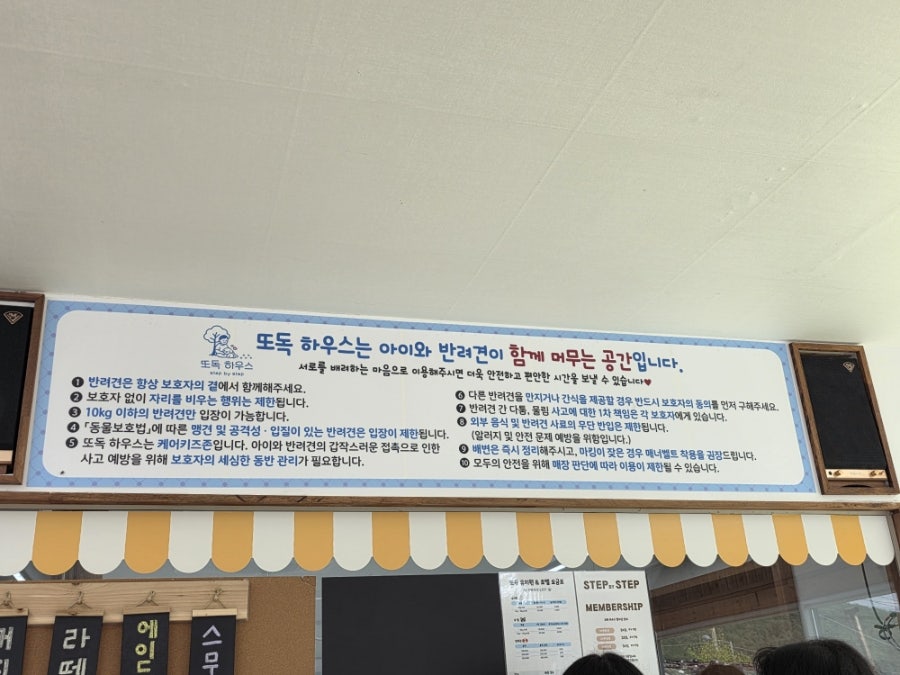 또독하우스 사진 2