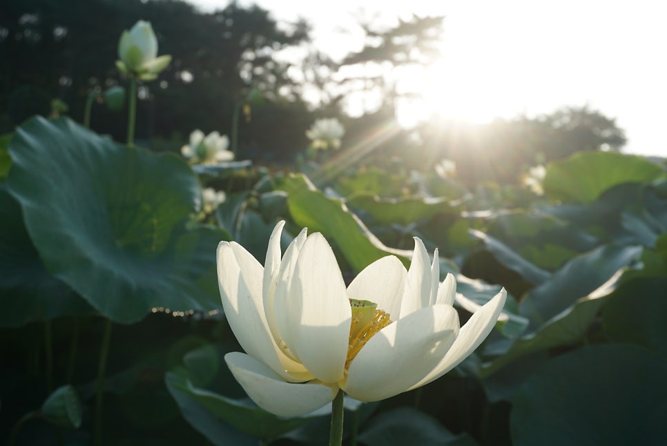 단지 사진 3